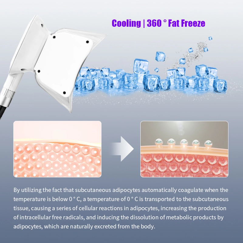 High-intensity-electromagnetic-muscle-stimulation-body-shaping-system - HUIMAIN High intensity electromagnetic muscle stimulation body shaping system - HUIMAIN