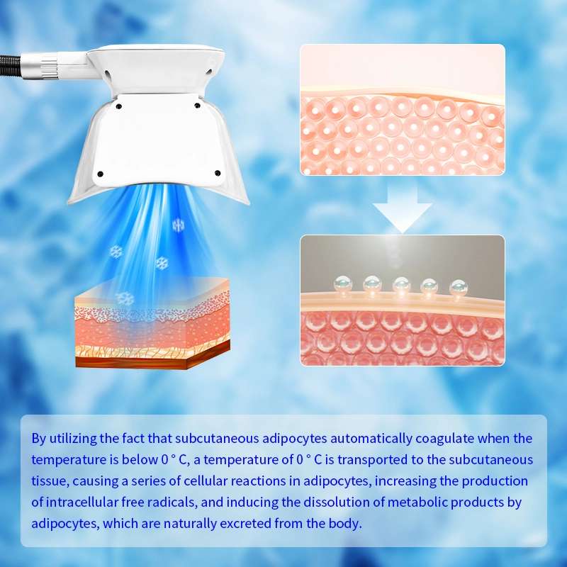 buy cryolipolysis slimming machine - HUIMAIN