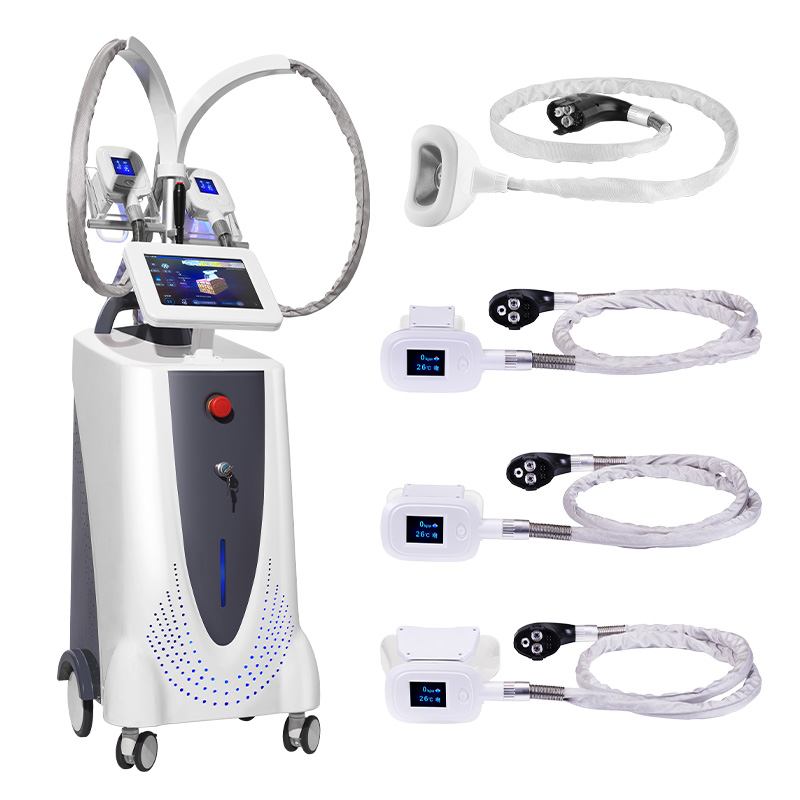 Cryolipolysis Machine price