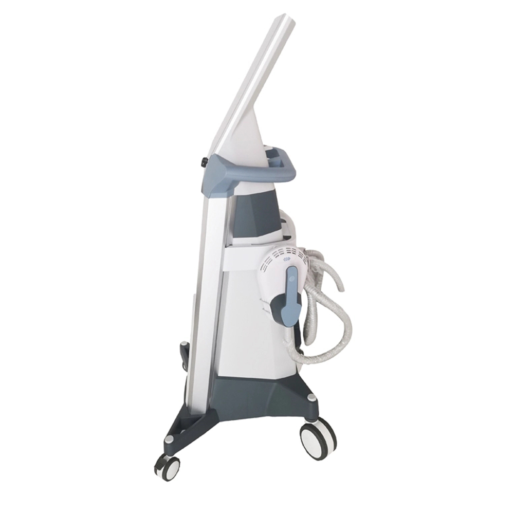 emsculpt machine purchase
